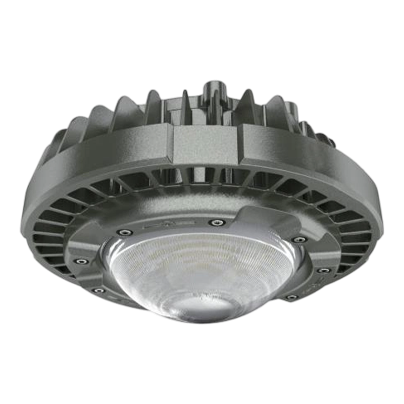 Corrosion-Resistant Explosion-Proof LED Light