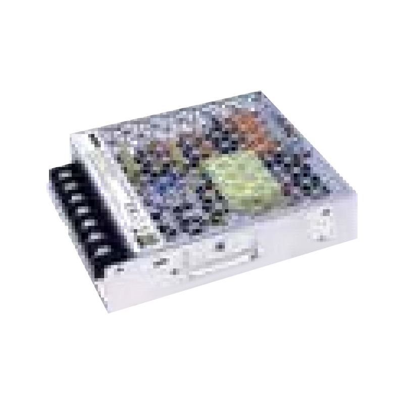 Multi-Market Industrial Power Supply T30-100W